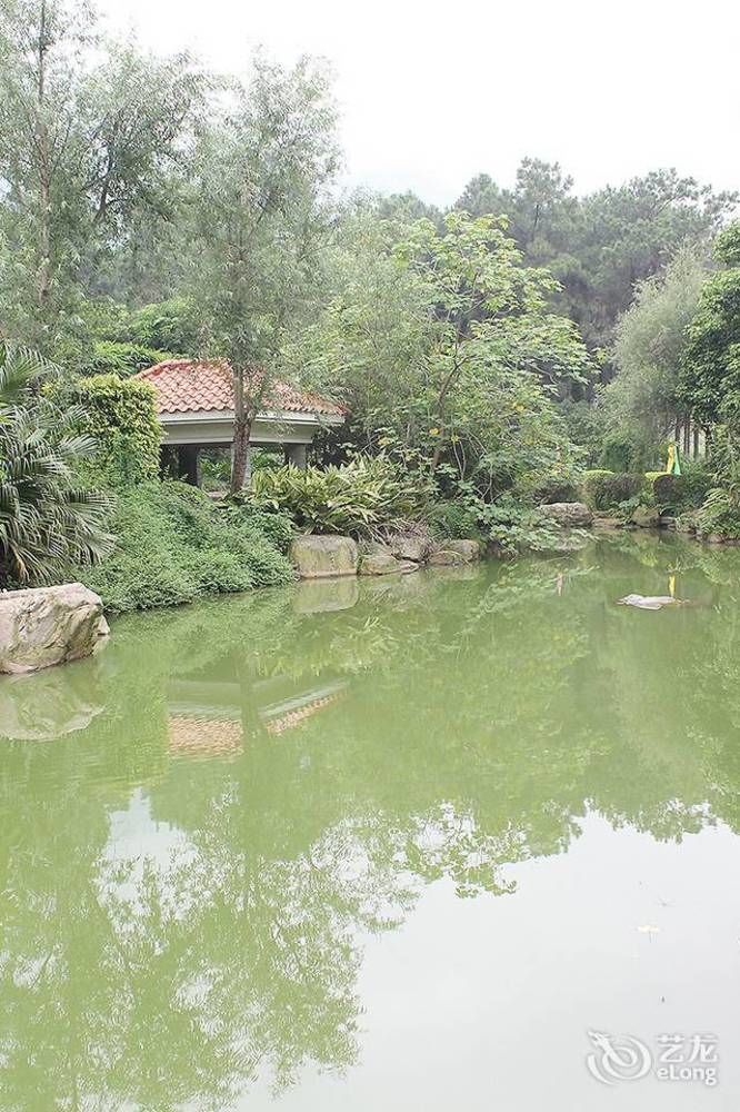 צ'ינגיואן Grace Garden Hotel מראה חיצוני תמונה